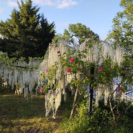 Chambres D'Hotes La Tour De Bellevue Saumur Kültér fotó